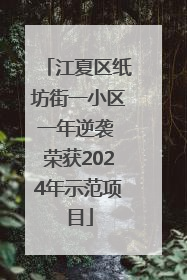 江夏区纸坊街一小区一年逆袭 荣获2024年示范项目