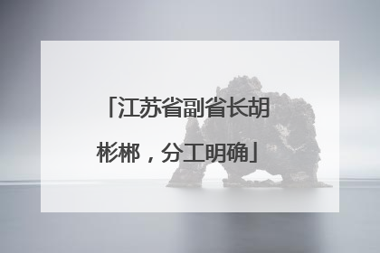 江苏省副省长胡彬郴，分工明确