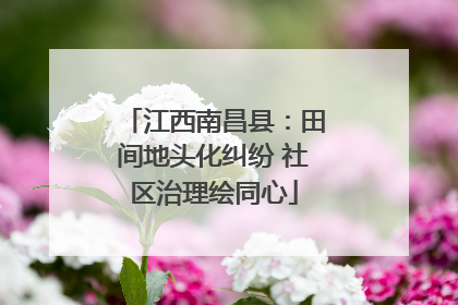 江西南昌县：田间地头化纠纷 社区治理绘同心