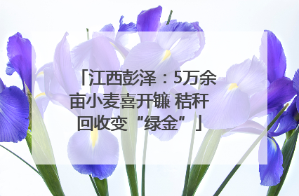 江西彭泽：5万余亩小麦喜开镰 秸秆回收变“绿金”