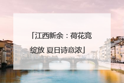 江西新余：荷花竞绽放 夏日诗意浓
