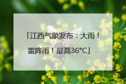 江西气象发布：大雨！雷阵雨！最高36°C