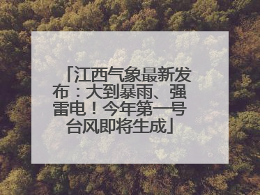 江西气象最新发布：大到暴雨、强雷电！今年第一号台风即将生成