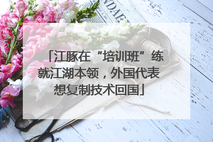 江豚在“培训班”练就江湖本领，外国代表想复制技术回国