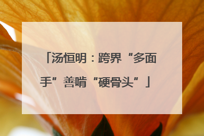 汤恒明：跨界“多面手”善啃“硬骨头”