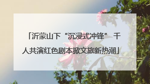 沂蒙山下“沉浸式冲锋” 千人共演红色剧本掀文旅新热潮