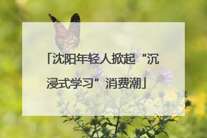 沈阳年轻人掀起“沉浸式学习”消费潮