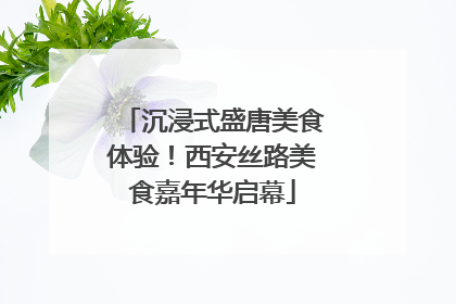 沉浸式盛唐美食体验！西安丝路美食嘉年华启幕