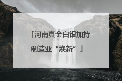 河南真金白银加持制造业“焕新”