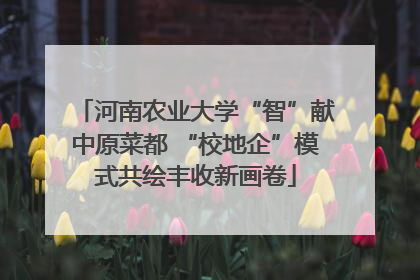 河南农业大学“智”献中原菜都 “校地企”模式共绘丰收新画卷