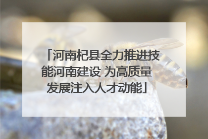 河南杞县全力推进技能河南建设 为高质量发展注入人才动能