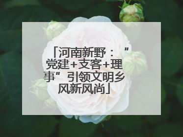 河南新野：“党建+支客+理事”引领文明乡风新风尚