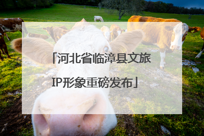 河北省临漳县文旅IP形象重磅发布