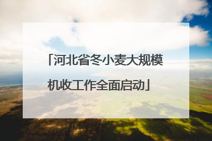 河北省冬小麦大规模机收工作全面启动