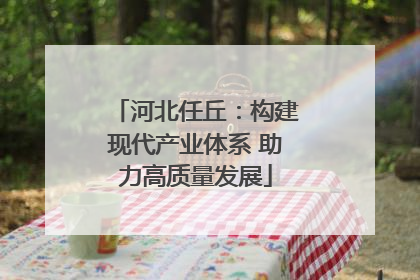 河北任丘：构建现代产业体系 助力高质量发展