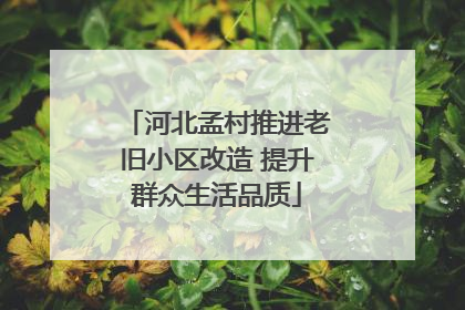 河北孟村推进老旧小区改造 提升群众生活品质