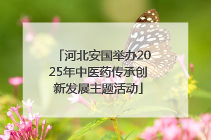 河北安国举办2025年中医药传承创新发展主题活动