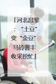 河北昌黎：“土豆”变“金豆” 马铃薯丰收采挖忙
