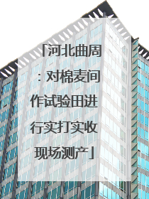 河北曲周：对棉麦间作试验田进行实打实收现场测产