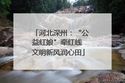 河北深州：“公益红娘”牵红线 文明新风润心田