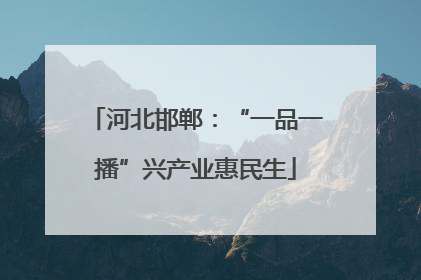 河北邯郸：“一品一播”兴产业惠民生