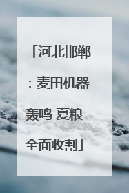 河北邯郸：麦田机器轰鸣 夏粮全面收割