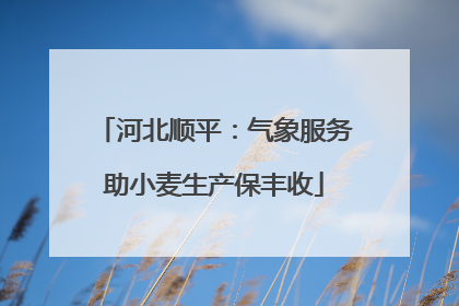 河北顺平：气象服务助小麦生产保丰收