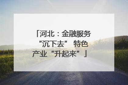 河北：金融服务“沉下去” 特色产业“升起来”