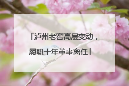 泸州老窖高层变动，履职十年董事离任