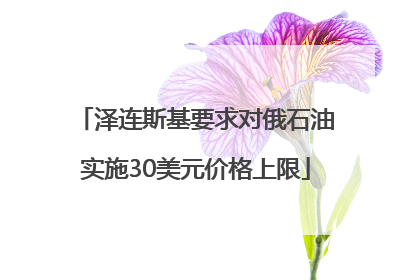泽连斯基要求对俄石油实施30美元价格上限