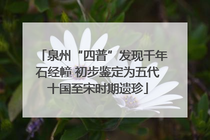 泉州“四普”发现千年石经幢 初步鉴定为五代十国至宋时期遗珍