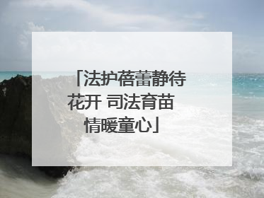 法护蓓蕾静待花开 司法育苗情暖童心