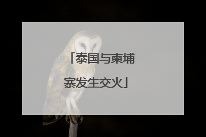 泰国与柬埔寨发生交火