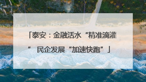 泰安：金融活水“精准滴灌” 民企发展“加速快跑”
