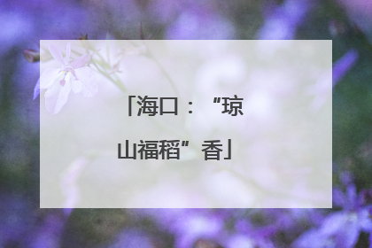 海口：“琼山福稻”香