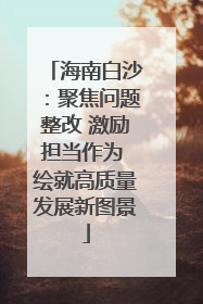 海南白沙：聚焦问题整改 激励担当作为 绘就高质量发展新图景