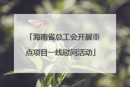 海南省总工会开展重点项目一线慰问活动