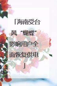 海南受台风“蝴蝶”影响用户全面恢复供电