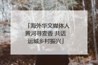 海外华文媒体人黄河寻麦香 共话运城乡村振兴