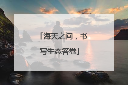 海天之间，书写生态答卷
