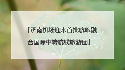 济南机场迎来首批航旅融合国际中转航线旅游团