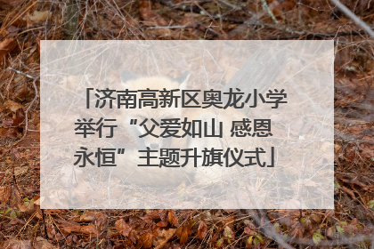 济南高新区奥龙小学举行“父爱如山 感恩永恒”主题升旗仪式