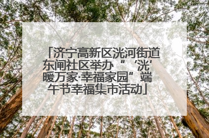 济宁高新区洸河街道东闸社区举办“‘洸’暖万家·幸福家园”端午节幸福集市活动