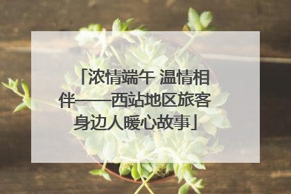 浓情端午 温情相伴——西站地区旅客身边人暖心故事