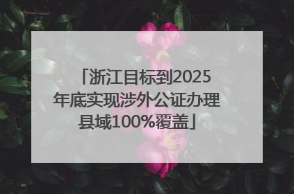 浙江目标到2025年底实现涉外公证办理县域100%覆盖
