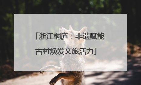 浙江桐庐：非遗赋能古村焕发文旅活力