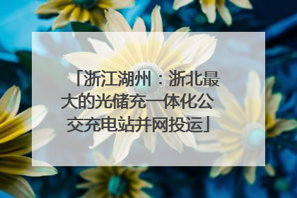 浙江湖州：浙北最大的光储充一体化公交充电站并网投运