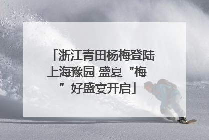 浙江青田杨梅登陆上海豫园 盛夏“梅”好盛宴开启