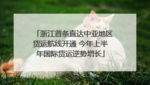 浙江首条直达中亚地区货运航线开通 今年上半年国际货运逆势增长