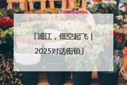 浦江，低空起飞｜2025对话街镇